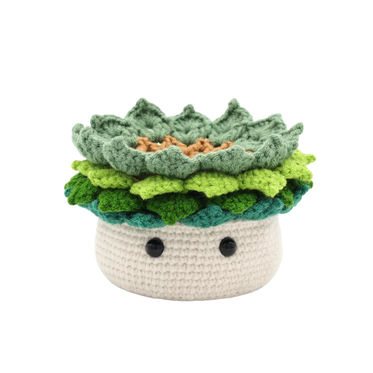 KIT DIY CROCHET- PLANTE AMIGURUMI