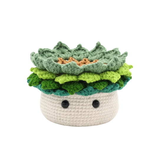 KIT DIY CROCHET- PLANTE AMIGURUMI
