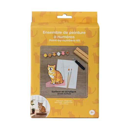 KIT PEINTURE A NUMERO SURFACE ACRYLIQUE - CHAT