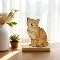 Charger l'image dans la visionneuse de la galerie, KIT PEINTURE A NUMERO SURFACE ACRYLIQUE - CHAT
