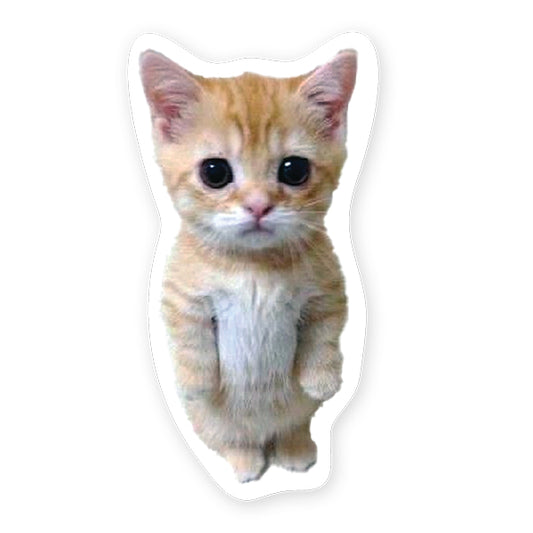 STICKERYOU - COLLANT "STANDING KITTY MEME"