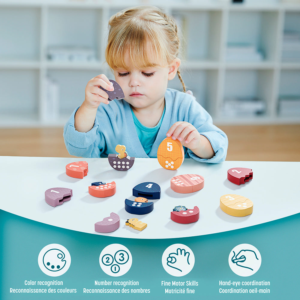 TOP BRIGHT - JEU ASSOCIATION NOMBRES DINO