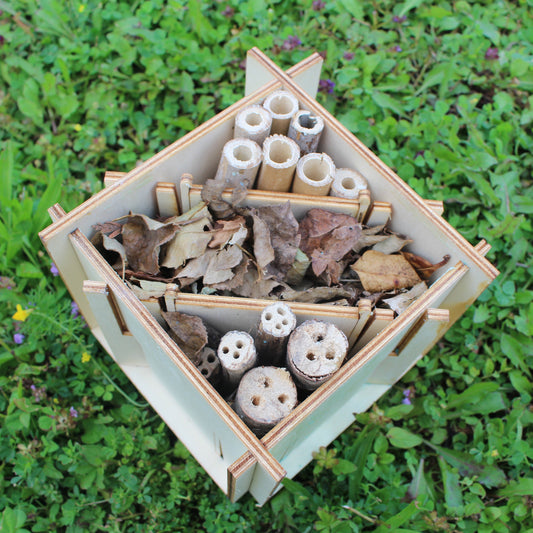 BOTAKI - KIT A FABRIQUER HOTEL INSECTES BOIS