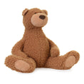 Charger l'image dans la visionneuse de la galerie, EGMONT- PELUCHE OURS ANATOLE MOYEN 15.5"
