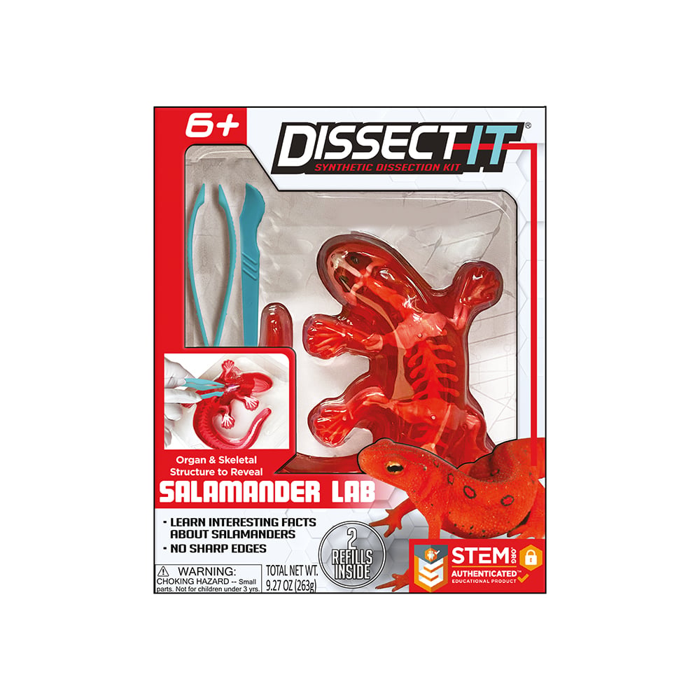 DISSECT IT - SALAMANDRE ROUGE