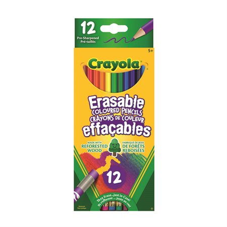 CRAYOLA - CRAYONS À COLORIER EFFAÇABLES @12