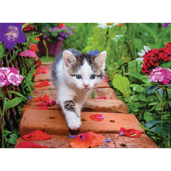 NATHAN - C-T CHATON AU JARDIN  500MCX
