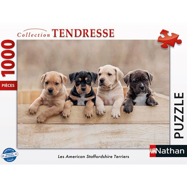 NATHAN - C-T AMERICAN STAFF TERRIER 1000MCX
