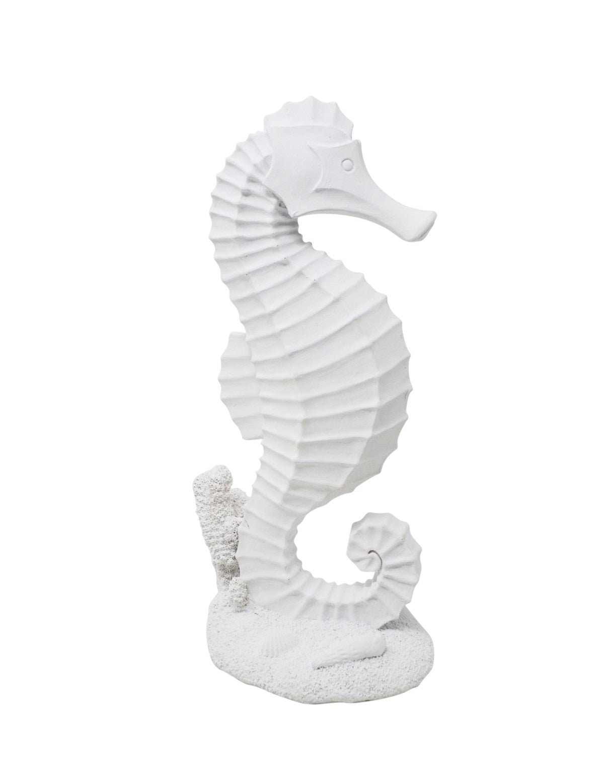 HIPPOCAMPE 5" X 10-½" BLANC