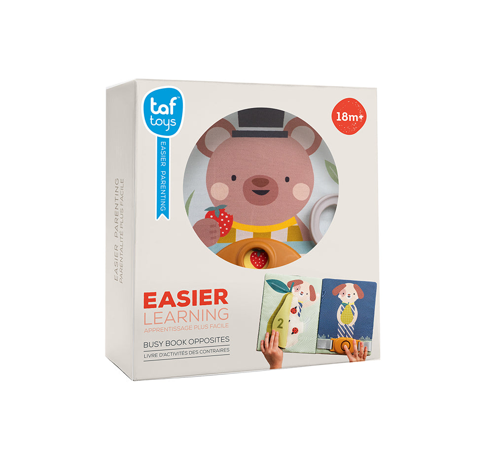 TAF TOYS - LIVRE ACTIVITES FANTAISIE