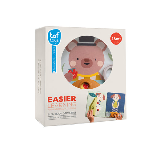 TAF TOYS - LIVRE ACTIVITES FANTAISIE