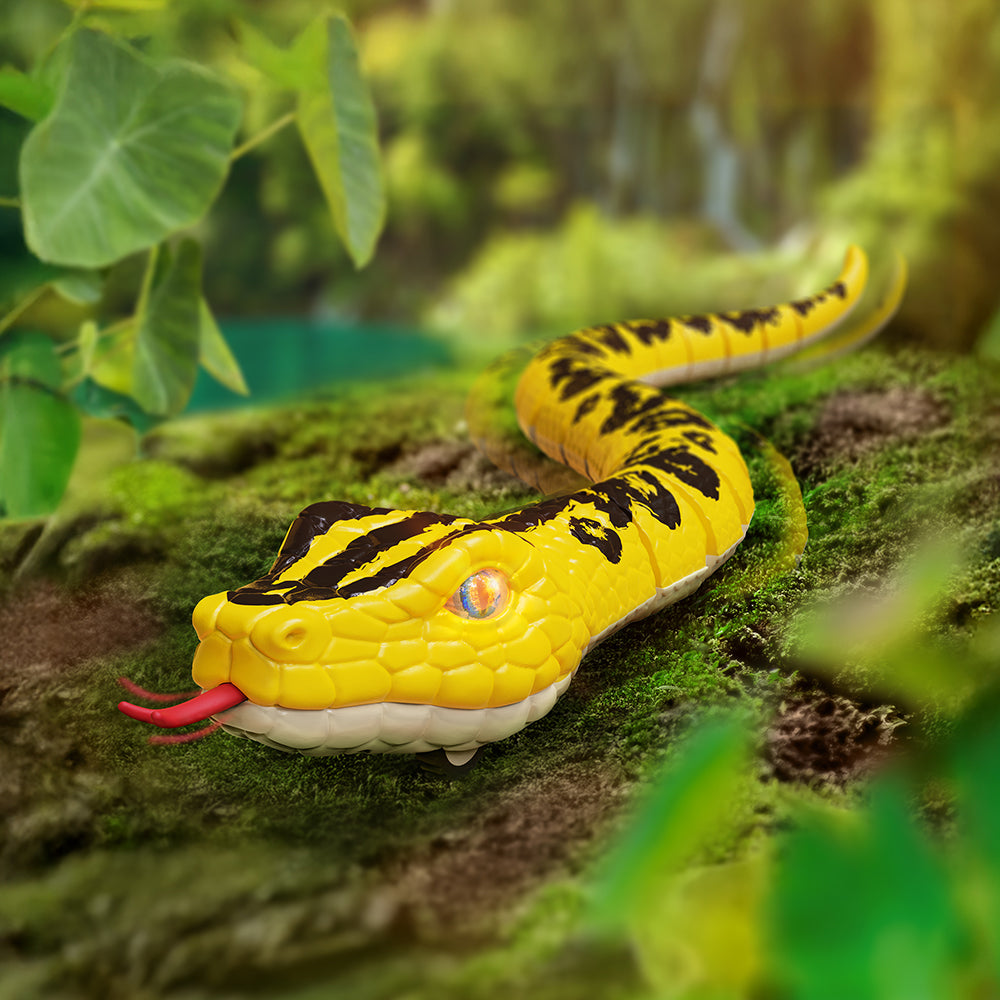 TERRA - SERPENT TELEGUIDE ANACONDA