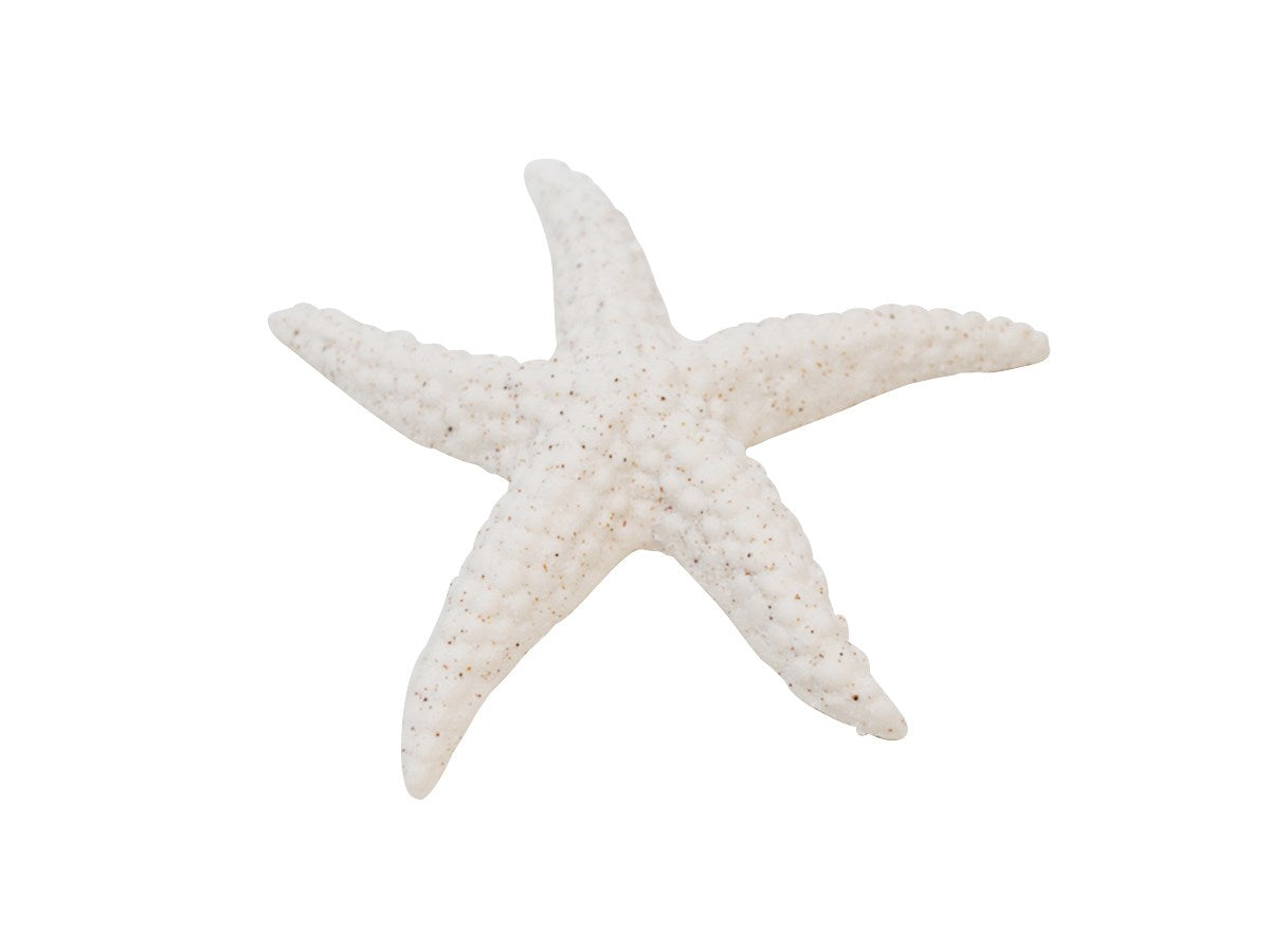 ETOILE DE MER CERAMIQUE 4 X 4" BLANC