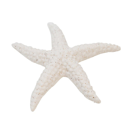 ETOILE DE MER CERAMIQUE 4 X 4" BLANC