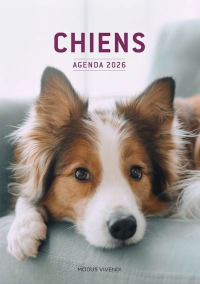 AGENDA CHIENS 2026