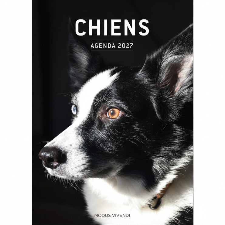 AGENDA CHIENS 2027