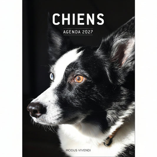 AGENDA CHIENS 2027