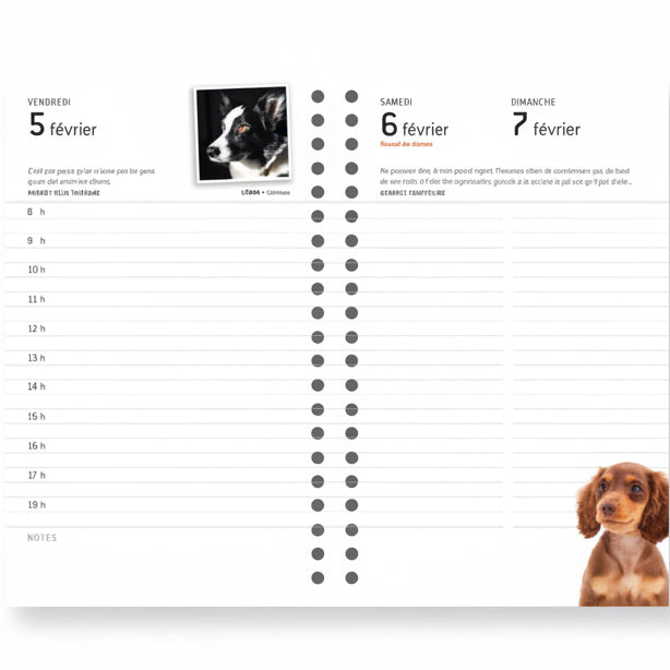 AGENDA CHIENS 2027