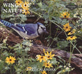 Charger l'image dans la visionneuse de la galerie, PINE RIDGE ART - CALENDRIER WINGS OF NATURE 2027
