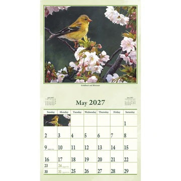 PINE RIDGE ART - CALENDRIER WINGS OF NATURE 2027