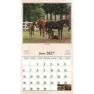 PINE RIDGE ART - CALENDRIER HOOF BEATS 2027