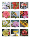 Charger l'image dans la visionneuse de la galerie, PINE RIDGE ART - CALENDRIER BEAUTY IN BLOOMS 2026
