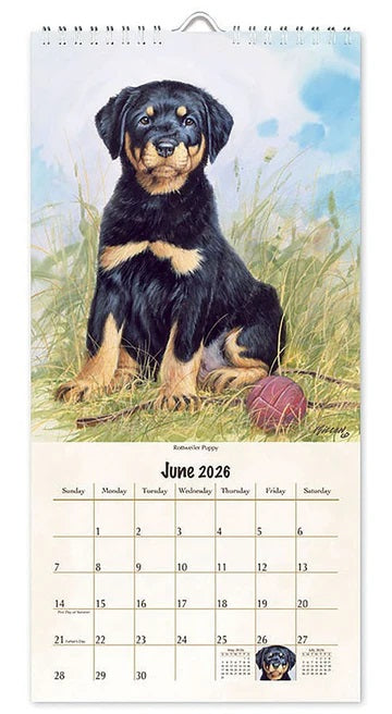 PINE RIDGE ART - CALENDRIER VERTICAL MUST LOVE DOGS 2026