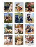 Charger l'image dans la visionneuse de la galerie, PINE RIDGE ART - CALENDRIER VERTICAL MUST LOVE DOGS 2026
