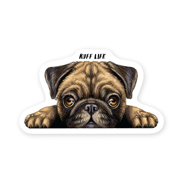 STICKERYOU - COLLANT ''RUFF LIFE PUG PEEKER''