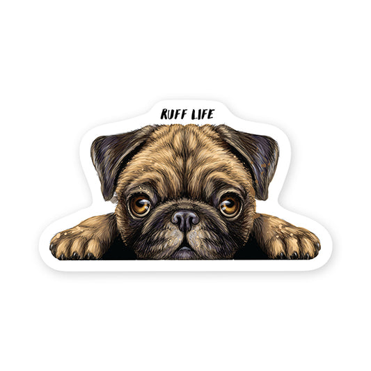 STICKERYOU - COLLANT ''RUFF LIFE PUG PEEKER''