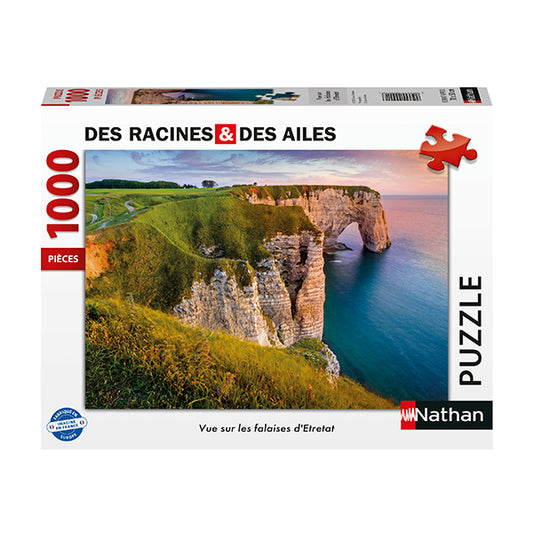 NATHAN - C-T VUE FALAISES D'ETRETAT 1000MCX