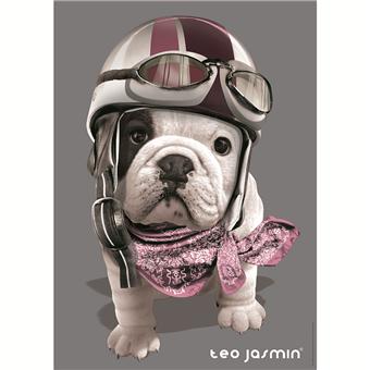 NATHAN - CASSE-TETE TEO RACING 1000MCX