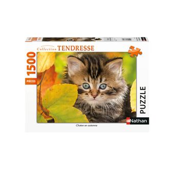 NATHAN - CASSE-TETE CHATON EN AUTOMNE 1500MCX