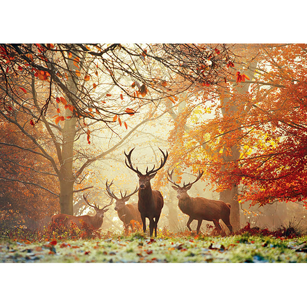 HEYE - CASSE-TETE MAGIC FORESTS STAGS 1000MCX