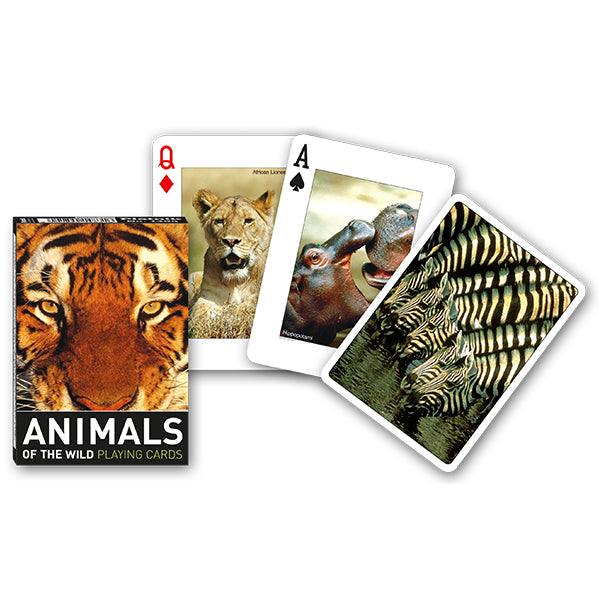PIATNIK- JEU CARTES SIMPLE"ANIMALS OF WILD"