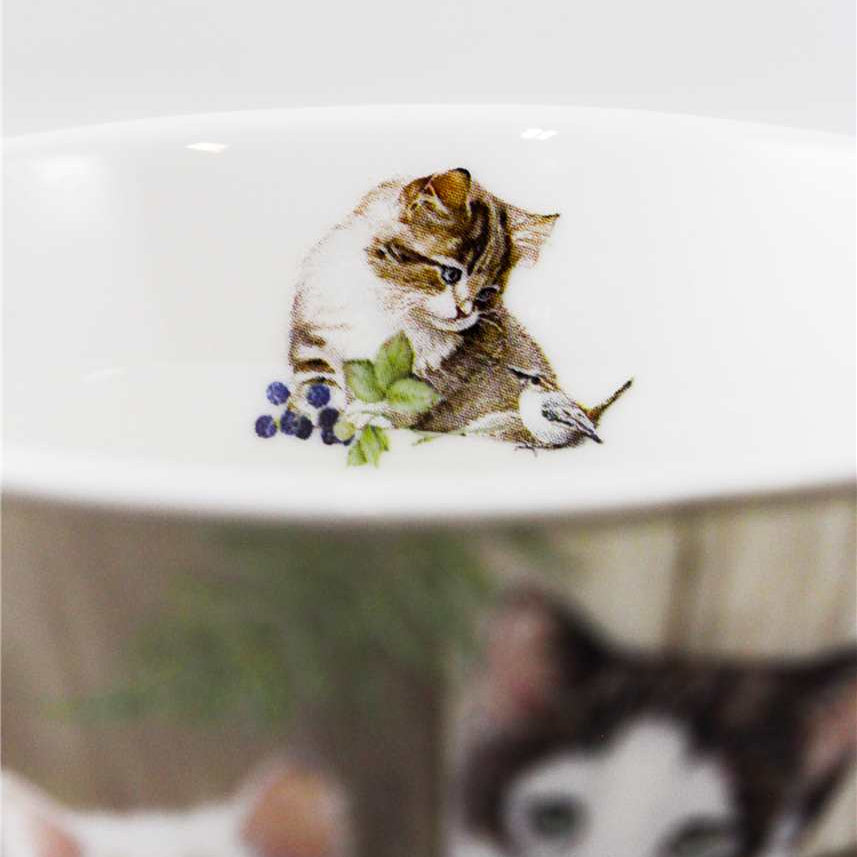 TASSE PORCELAINE + BOITE CHATS & OISEAU