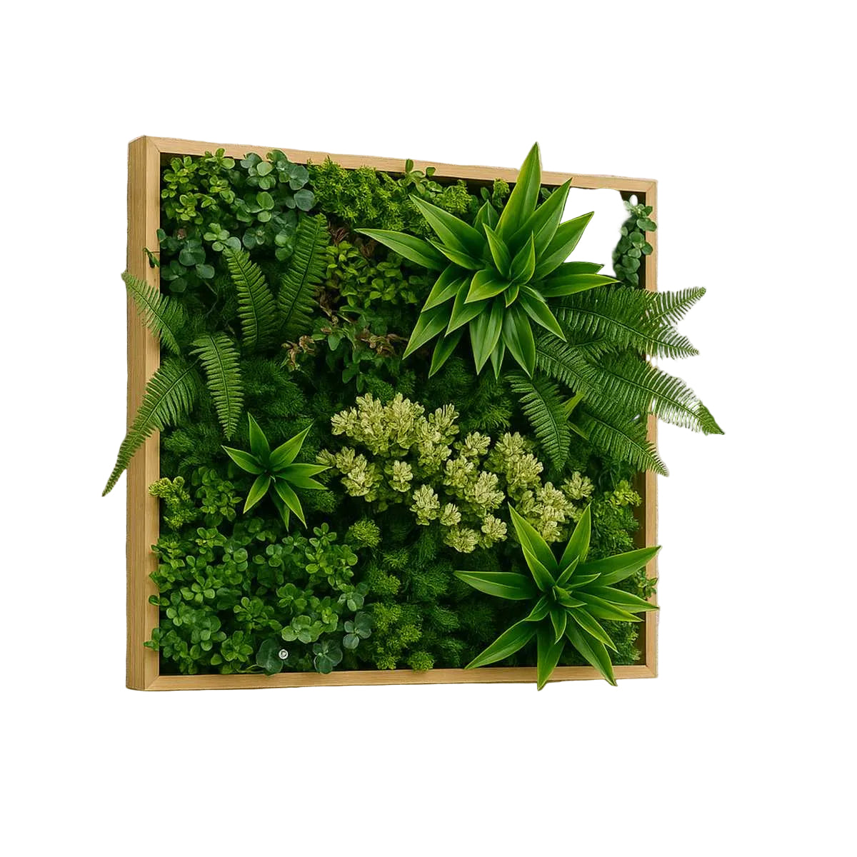 PANNEAU PLANTE VERTE MURALE 20 X 20"