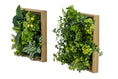 Charger l'image dans la visionneuse de la galerie, PANNEAU PLANTE VERTE MURALE 12 X 12" 2CHX
