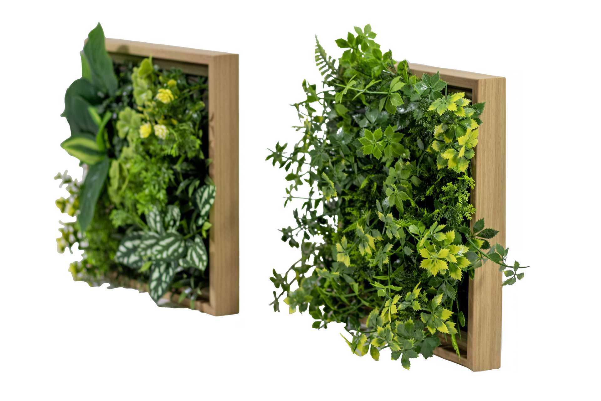 PANNEAU PLANTE VERTE MURALE 12 X 12" 2CHX