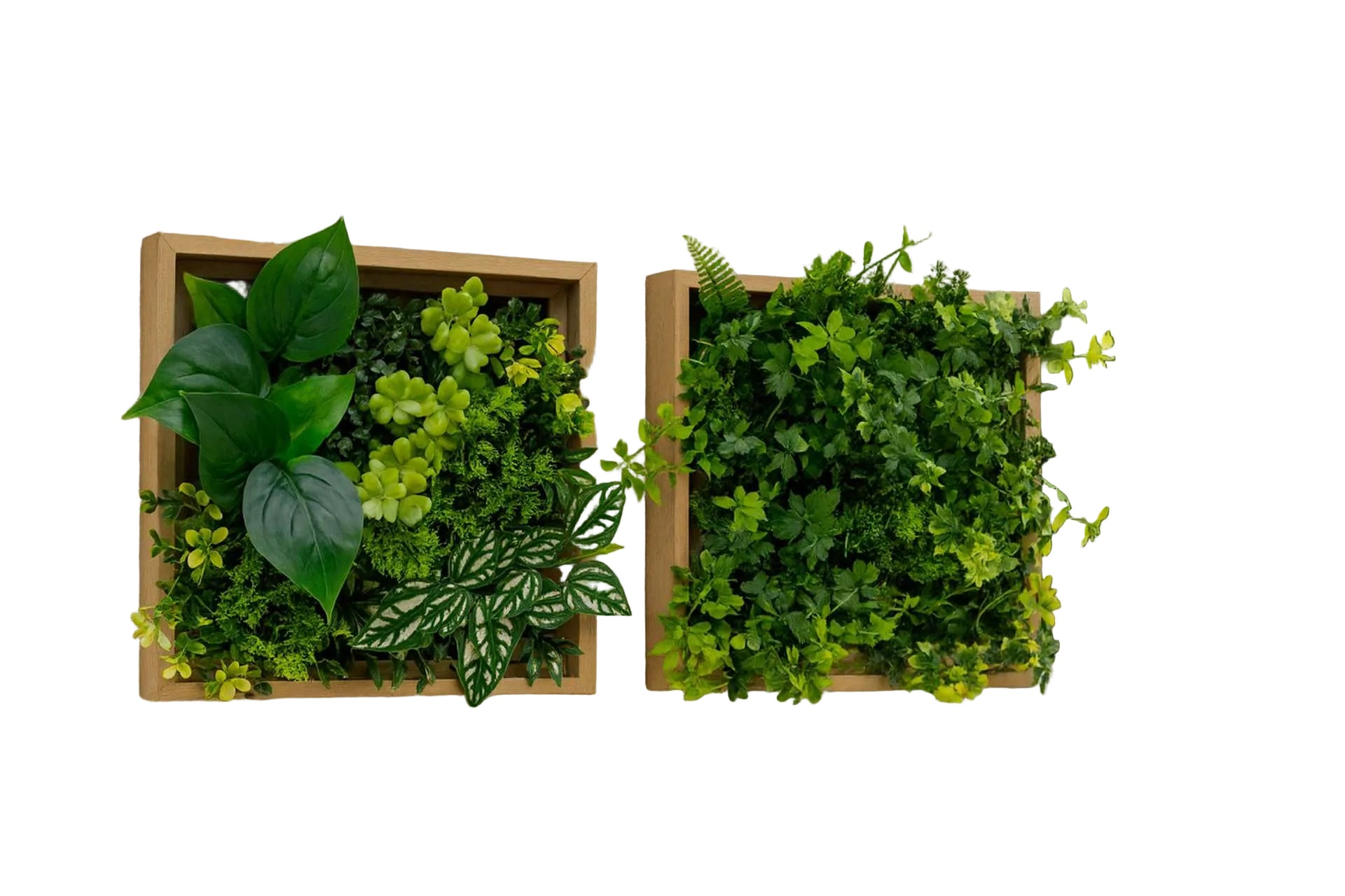 PANNEAU PLANTE VERTE MURALE 12 X 12" 2CHX
