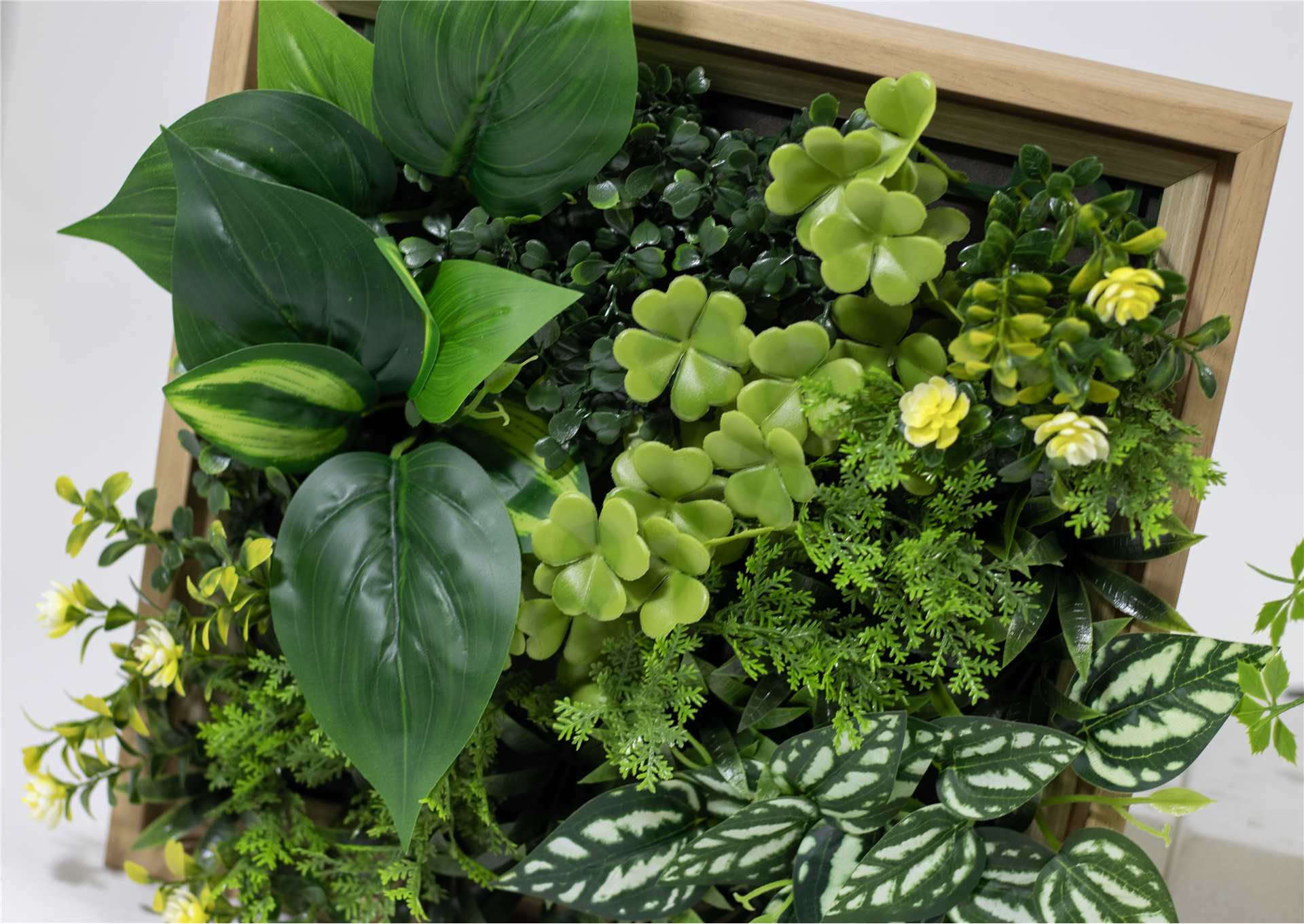 PANNEAU PLANTE VERTE MURALE 12 X 12" 2CHX