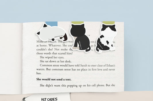 ENSEMBLE MARQUE-PAGE MAGNÉTIQUE MINI - CHAT 3PCS