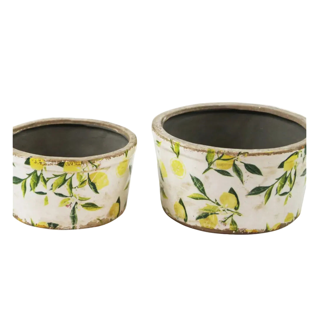 ENSEMBLE VASE A FLEUR ROND CITRON 8 X 4" 2PCS