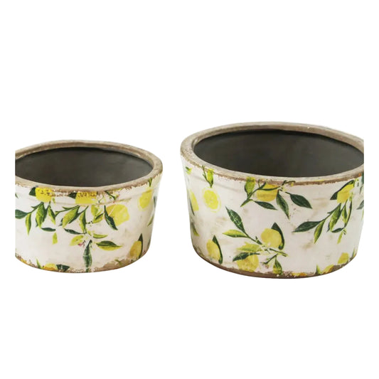 ENSEMBLE VASE A FLEUR ROND CITRON 8 X 4" 2PCS