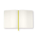 Charger l'image dans la visionneuse de la galerie, JOURNAL LIGNER & MOTIF 7½ X 9½ " - "FORAGE PEAR"

