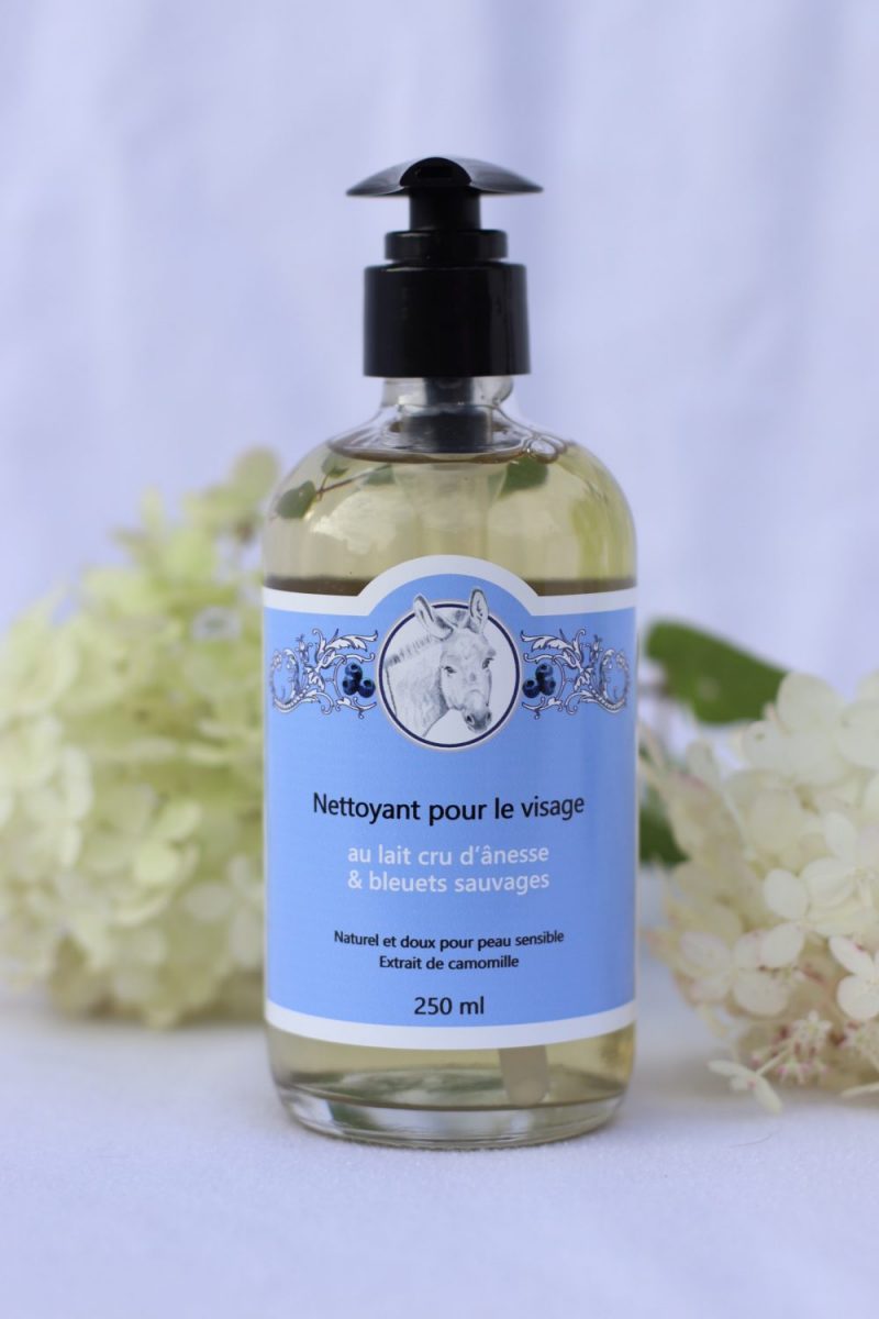 NETTOYANT VISAGE LAIT ANESSE & BLEUETS SAUVAGES