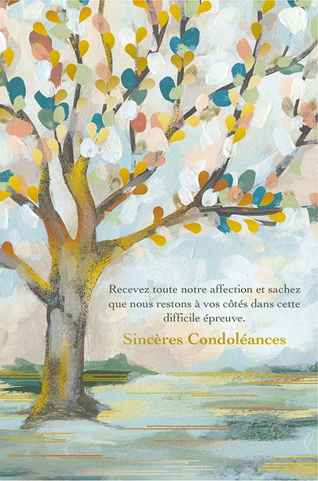 CARTE DE  SOUHAIT -  SINCERE CONDOLEANCE AFFECTION