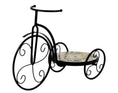 Charger l'image dans la visionneuse de la galerie, SUPPORT PLANTE TRICYCLE 20 X 13" METAL NOIR

