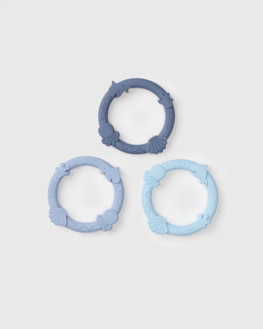 Ens Anneau Dentition Requin 3pcs - Bleu