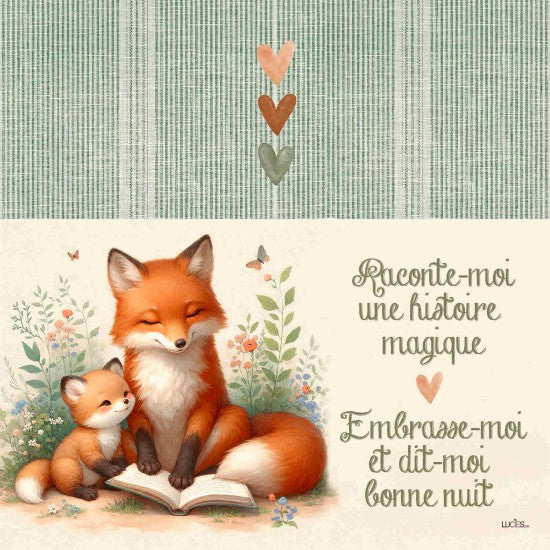 COUSSIN LECTURE POCHETTE- RACONTE MOI UNE HISTOIRE